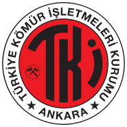 Kurum Logosu 8 
